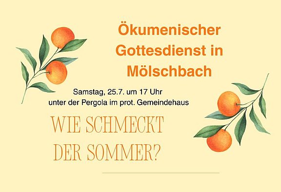 2026_7_Sommer_Moe.jpg 