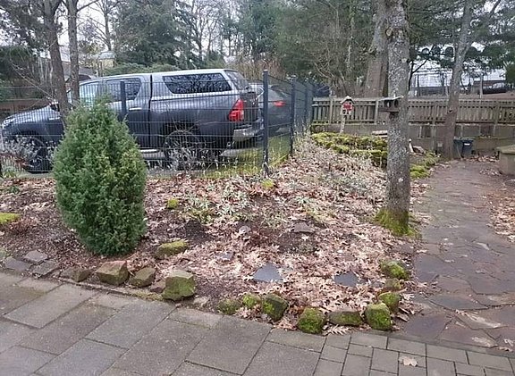 Kaeferkarawane55.jpg 